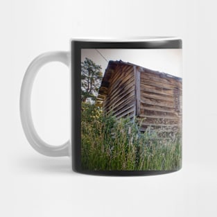 Abandoned Shack in the Woods Mug